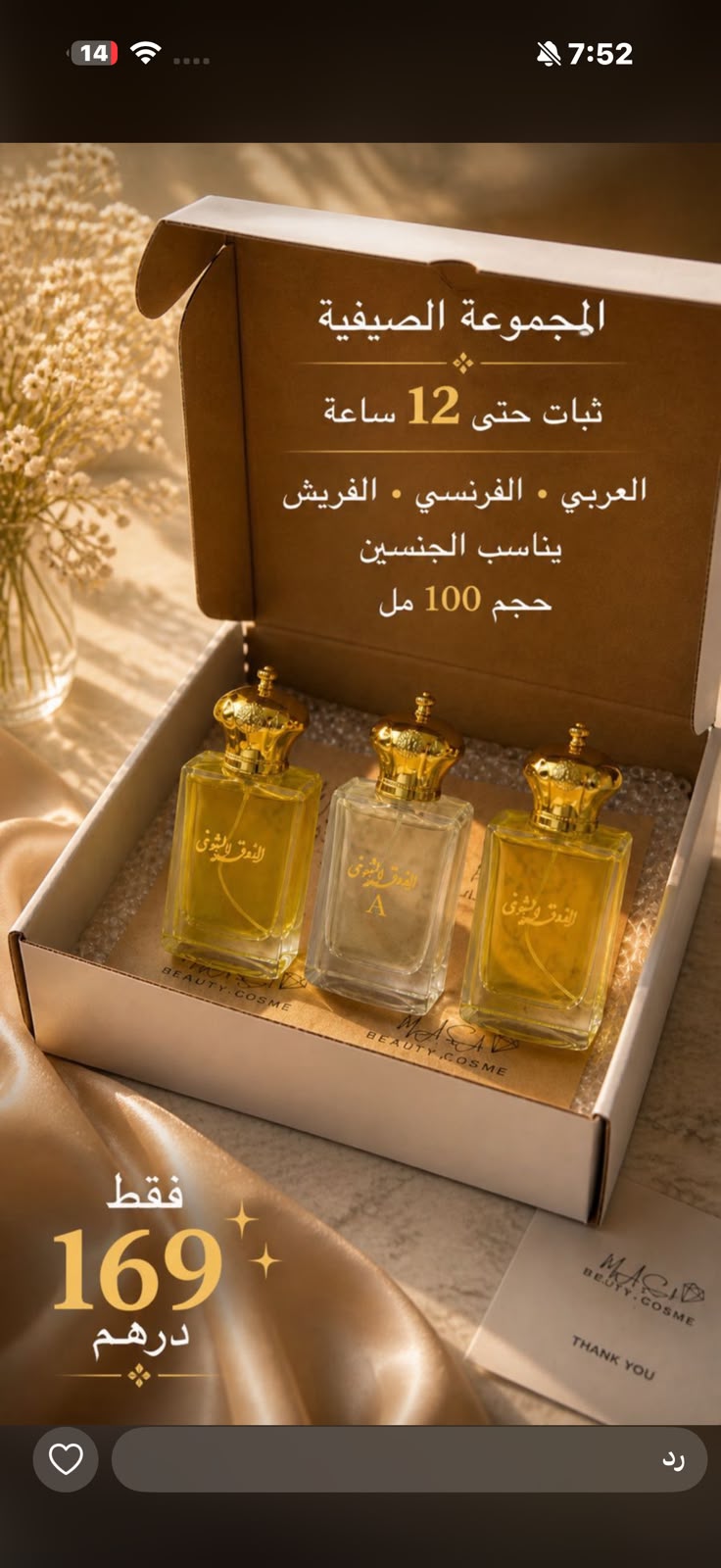 المجموعة الصيفية